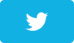 Twitter Icon